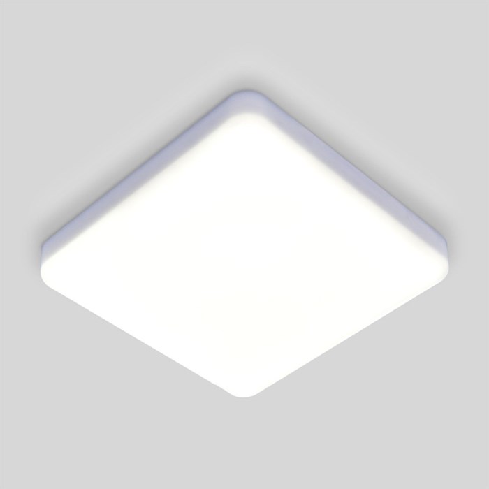 Накладной светильник Elektrostandard DLS043 10W 4200K - фото 862508