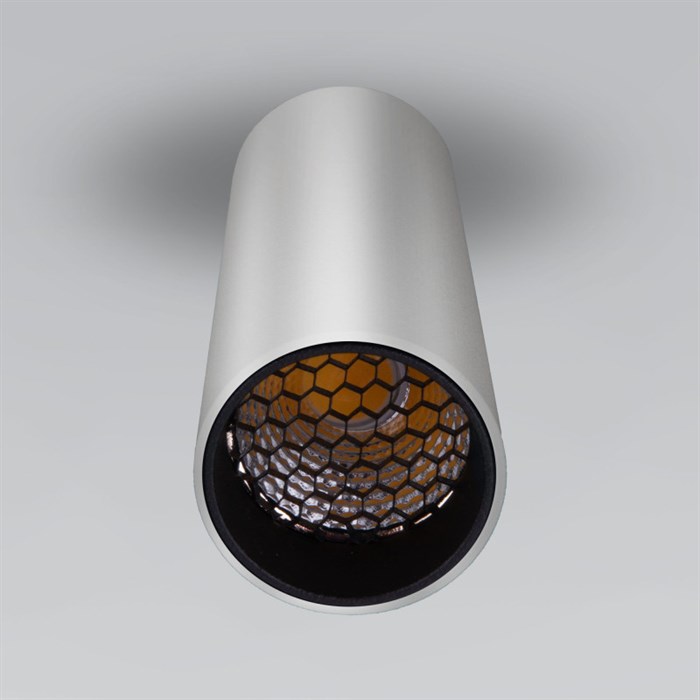 Накладной светильник Elektrostandard Pika 6W (25031/LED) серебро - фото 940211
