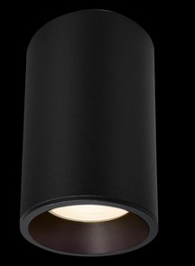 Влагозащищенный светильник Maytoni Technical C029CL-01-S-B