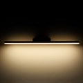 Светильник для картин Elektrostandard Protect LED чёрный (MRL LED 1111) - фото 811945