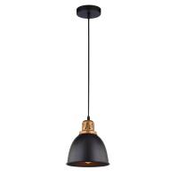 Подвесной светильник ARTE Lamp A4245SP-1BK