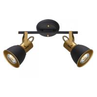 Спот ARTE Lamp A1677PL-2GO
