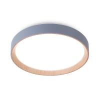 Накладной светильник Ambrella Light FZ1320