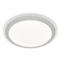 Накладной светильник Ambrella Light FF50