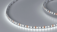 DesignLed Светодиодная лента IP33 холодного белого свечения, DSG3120-12-W-33
