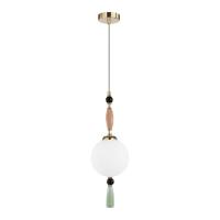 Подвесной светильник Odeon Light 5405/1