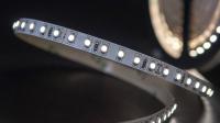SWG Standard Светодиодная лента 3528, 120 LED/м, 9,6 Вт/м, 24В , IP66, Цвет: Теплый белый, SWG3120-24-9.6-WW-66-M