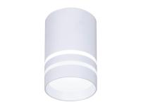 Накладной светильник Ambrella Light TN235