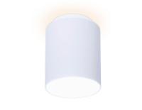 Накладной светильник Ambrella Light TN261