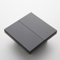 Выключатель Yeelight Pro, серия E20, проводной, 2 клавиши, серый (N+L or L)