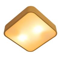 Накладной светильник ARTE Lamp A7210PL-2GO