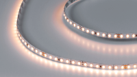SWG PRO Светодиодная лента ПРО 2835, 126 LED/м, 13 Вт/м, 24В , IP20, Цвет: Теплый белый, SWG2P126-24-13-WW