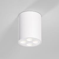 Накладной светильник Elektrostandard 25111/LED 7W 4000K белый