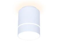 Накладной светильник Ambrella Light TN256