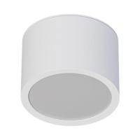 Влагозащищенный светильник ARTE Lamp A5543PL-1WH