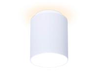 Накладной светильник Ambrella Light TN260