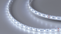 SWG Standard Светодиодная лента 5050, 60 LED/м, 14,4 Вт/м, 24В , IP68, Цвет: Холодный белый, SWG560-24-14.4-W-68-M