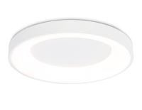 Накладной светильник Ambrella Light FZ1401