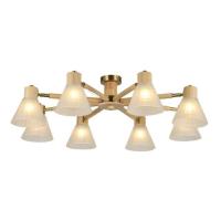 Накладная люстра ARTE Lamp A4096PL-8BR