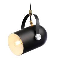 Подвесной светильник Ambrella Light TR8206