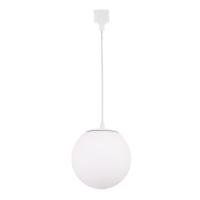 Светильник на шине Crystal Lux CLT 0.31 015 WH