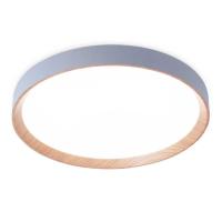 Накладной светильник Ambrella Light FZ1322