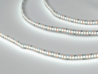 SWG Standard Светодиодная лента  2835, 204 LED/м, 22 Вт/м, 12В , IP20, Цвет: Холодный белый, SWG2204-12-22-W-М