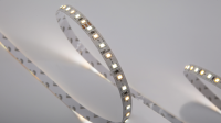 SWG PRO Светодиодная лента SWG PRO 2835, 120 LED/м, 14,4 Вт/м, 24В , IP20, Цвет: Теплый белый + холодный белый, SWG2P120-24-14.4-WWW-20