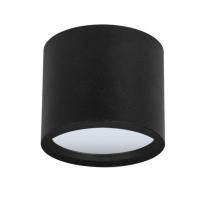 Влагозащищенный светильник ARTE Lamp A5543PL-1BK
