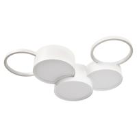 Накладной светильник LOFT IT 10317/5 White