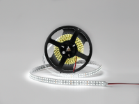 SWG Standard Светодиодная лента 3528, 240 LED/м, 19,2 Вт/м, 24В , IP20, Цвет: Холодный белый, SWG3240-24-19.2-W-M