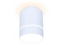Накладной светильник Ambrella Light TN255