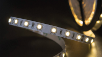 SWG Standard Светодиодная лента 5050, 60 LED/м, 14,4 Вт/м, 24В , IP20, Цвет: Нейтральный белый, SWG560-24-14.4-NW-M
