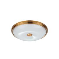 Накладной светильник Odeon Light 4956/4