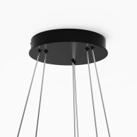 Подвесная люстра Maytoni MOD058PL-L55BK