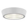 Влагозащищенный светильник Lightstar 214902