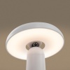 Аккумуляторный светильник Freya FR6109TL-L4W