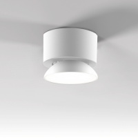 Накладной светильник Elektrostandard 25053/LED 10W 4000K белый