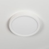 Накладной светильник Citilux CL738120N