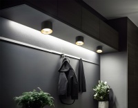Накладной светильник Ambrella Light TN52887