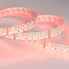Лента Arlight 018144(3)