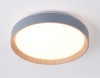 Накладной светильник Ambrella Light FZ1320