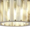 Накладная люстра ST-Luce SL1516.302.06