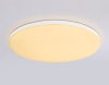 Накладной светильник Ambrella Light FZ2002