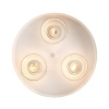 Подвесная люстра LUMION 6599/3C