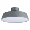 Накладной светильник Evoluce SLE600272-01