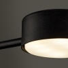 Потолочный светильник Freya FR5363CL-02B1