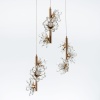 Каскадная люстра MODELUX ML.1855.9 GD