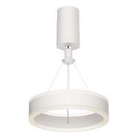 Подвесной светильник Citilux CL719010