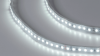 SWG Standard Светодиодная лента 3528, 120 LED/м, 9,6 Вт/м, 24В , IP66, Цвет: Холодный белый, SWG3120-24-9.6-W-66-M